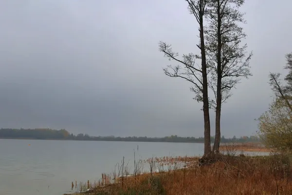 Що приховує вода волинських озер і річок: фахівці перевірили Прип'ять, Світязь і ще чотири озера (фото)