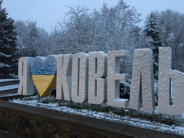 Перший сніговик та мерзлі троянди: на Волині випав сніг (фото)