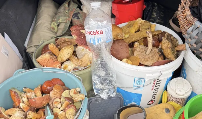Білі, польські, червоноголовці: де на Волині назбирали цілий багажник грибів (фото)