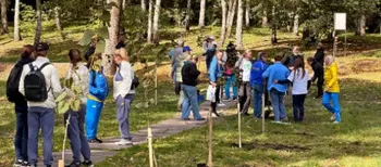 У Володимирі олімпійські спортсмени створили алею пам’яті полеглих Захисників (фото)