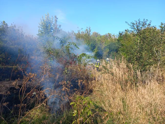 У Луцькому районі горіло пів гектара сухої трави (фото)