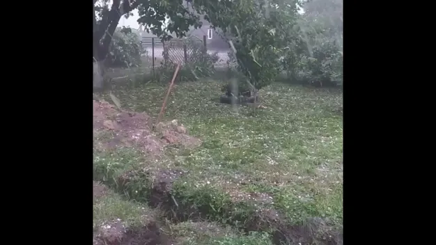 У Володимир-Волинському районі випав велетенський град(фото, відео)