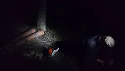 На Волині в рекреаційному пункті  упіймали чоловіка з бензопилою