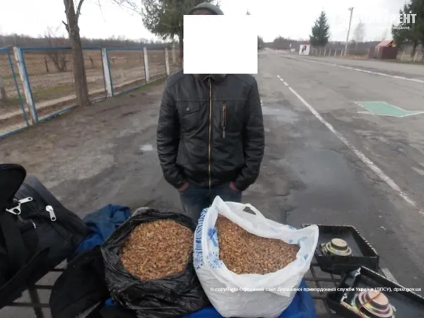 Українця-контрабандиста затримали на кордонні з Білоруссю