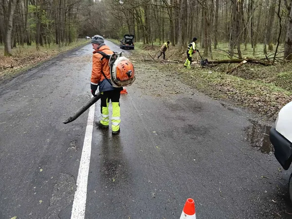 Негода повалила дерева на дороги Волині: водіїв просять бути уважними