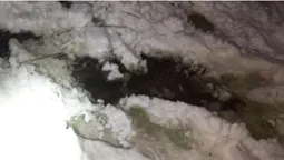 З'ясували, кому належить MAN, з якого вночі у Луцьку зливали зелену рідину