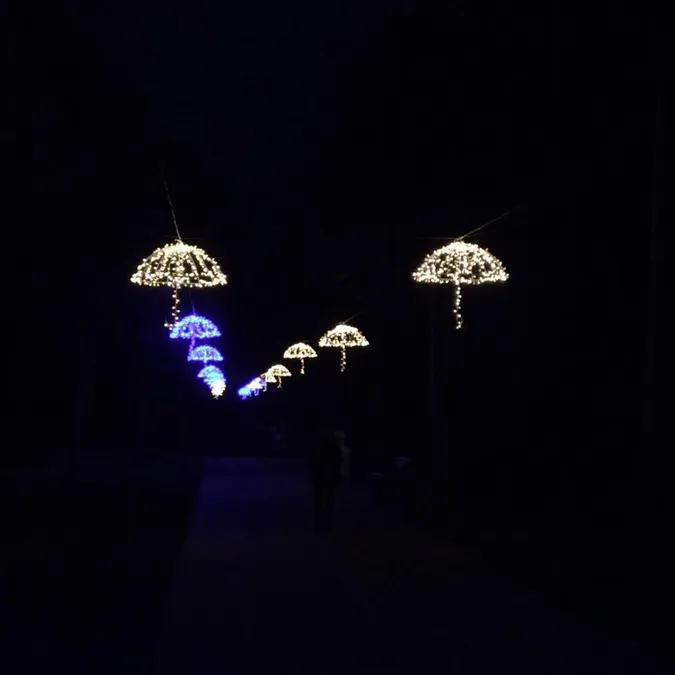 У луцькому парку світитимуться парасольки (фото)