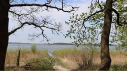 Квіти, сонце і весна: показали красу великого волинського озера (фото)