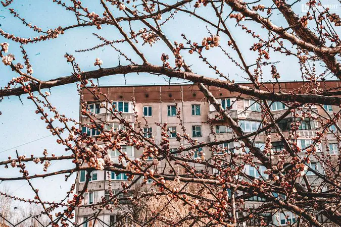 Всесвіт кожного вікна: управління туризму Луцькради запрошує до флешмобу