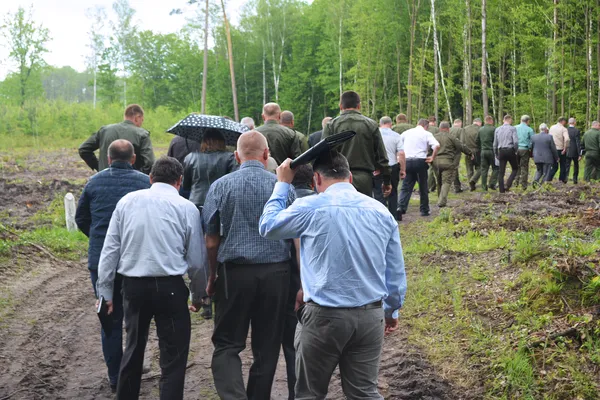 Від сучків до дубових заготовок: як на Волині «пиляють» ліс (ФОТОРЕПОРТАЖ)