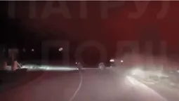 У Луцьку 17-річний хлопець на BMW втікав від патрульних і влетів у дерево (відео)