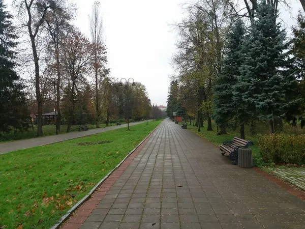 У Луцьку вандали скинули у канави смітники і плафони ліхтарів (фото)