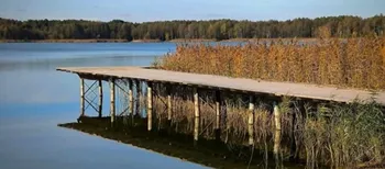 Осінній спокій озера Пісочне у Ковельському районі (фото)
