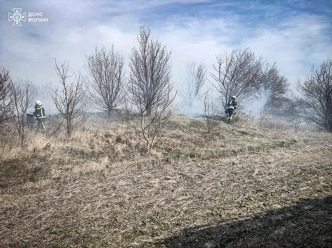 На Волині палають поля та дачні масиви (фото)