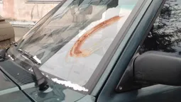 У Луцьку автомобіль вимазали лайном за неправильне паркування (фото) 