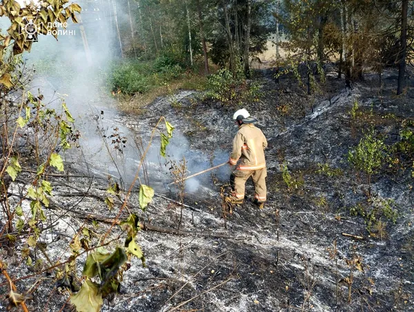 На Волині рятувальники ліквідували масштабну пожежу: що і де горіло (фото)