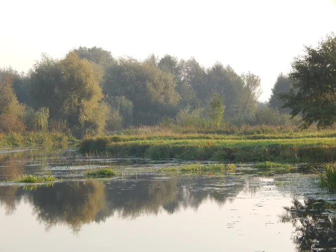 🍂 Мережу зачарували барви осені над Стоходом (фото)