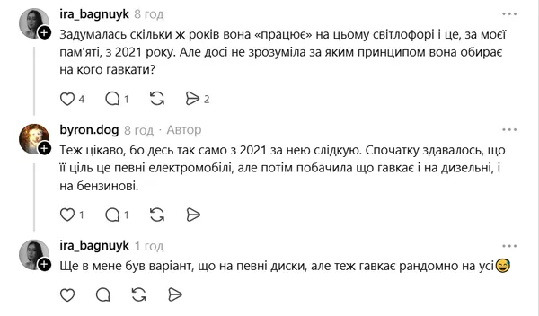 Гавкає вибірково і щодня на зміні: у Луцьку біля «Променя» чергує Білочка (фото)