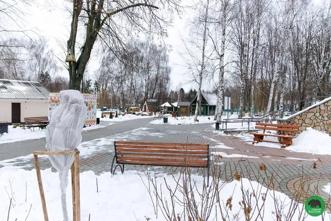 У Луцькому зоопарку «ловили» останні зимові кадри (фото)