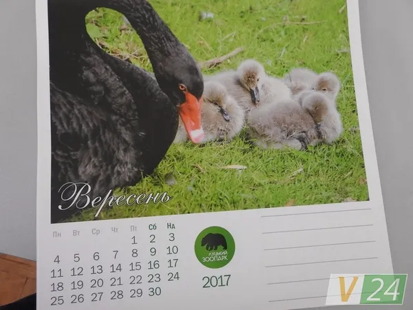 «Луцький зоопарк» видав календар зі світлинами своїх мешканців (фото)