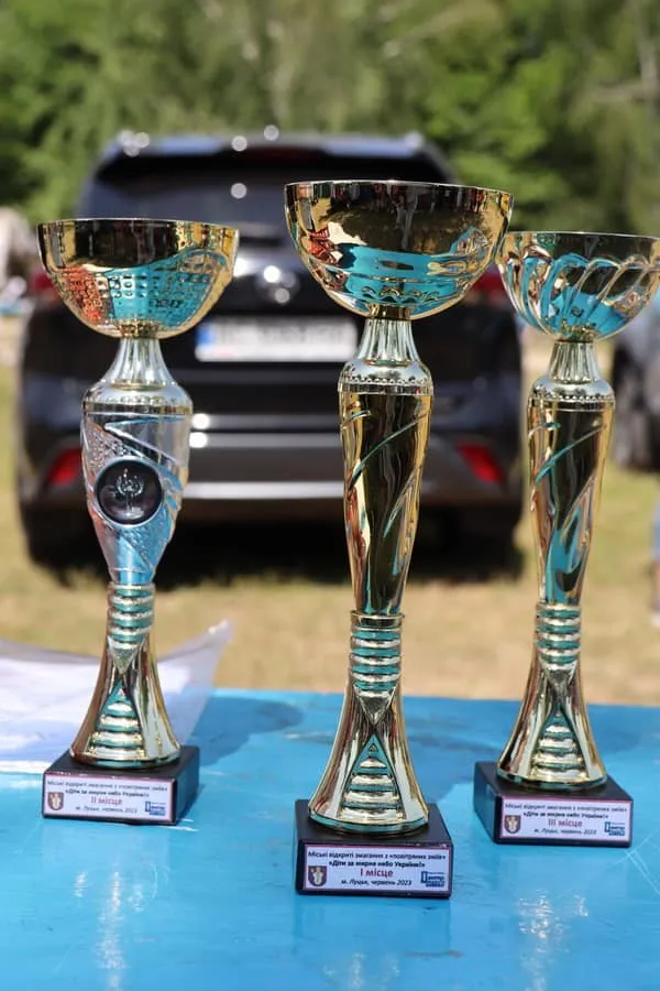 Біля Луцька в небо запускали повітряних зміїв (фото)