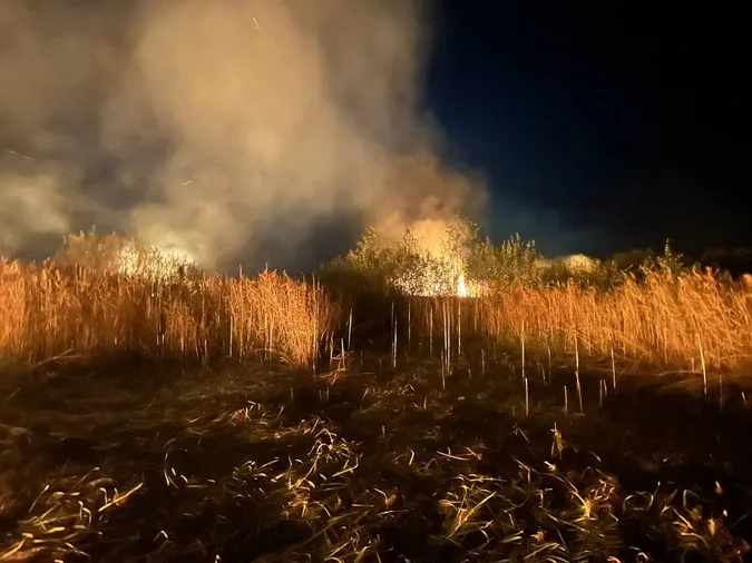 У Луцькому районі горіло пів гектара сухої трави (фото)