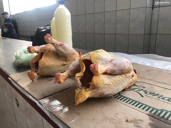 Домашня курка