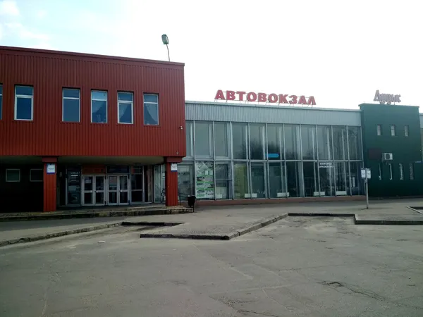 Безлюдна автостанція і «туси» в парку: як карантинить Луцьк 19 березня (фото)