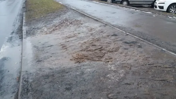 Із дороги – в болото: в Луцьку просять облаштувати пішохідний перехід (фото)