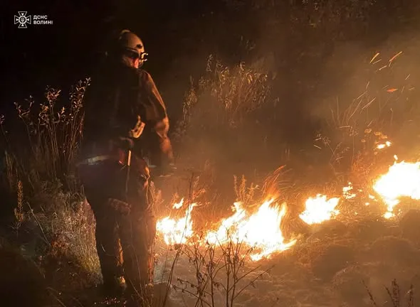 Три пожежі за добу: на Волині горів гектар поля та два будинки (фото)