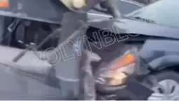 У Луцьку легковик влетів у фуру (відео)