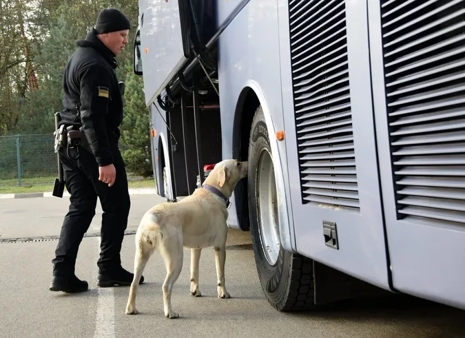 Волинська Ельза винюхує заборонене будь-де (фото)