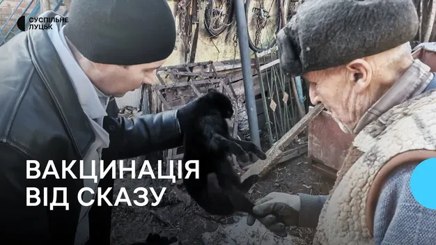 У двох селах на Волині оголосили карантин через сказ у тварин