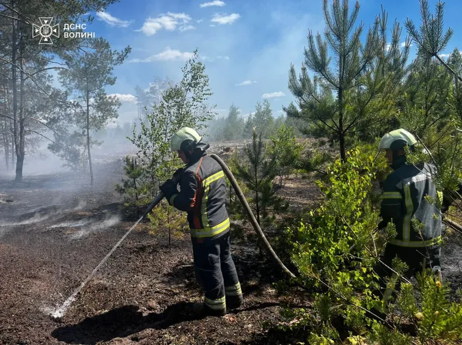 На Волині розгорілася суха трава біля лісу: рятувальники гасять осередки