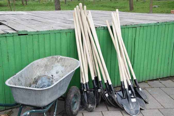 У центральному парку Луцька посадили нові дерева (фото)