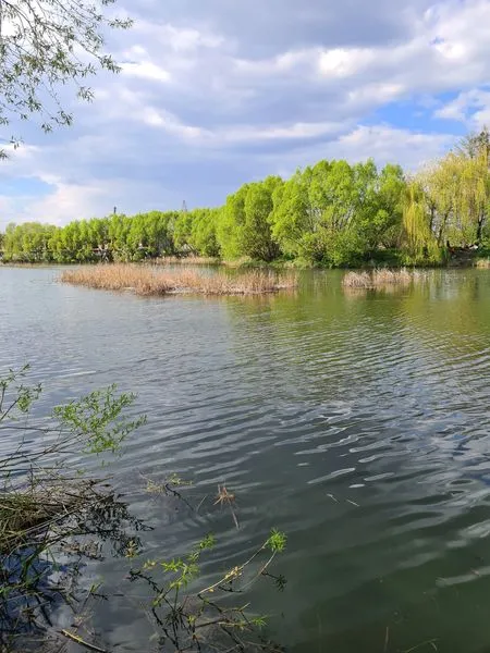 Синьо, зелено і тихо: весна на Теремнівських ставках (фото)
