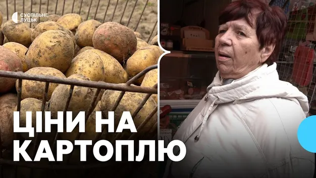 На Волині планують зібрати мільйон тонн картоплі (фото, відео)