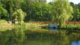У Воротнівському лісі розквітли червонокнижні квіти (фото)