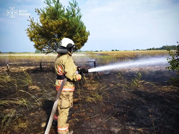 Пожежа в Копачівці: вогонь із сухостою перекинувся на господарську будівлю (фото)