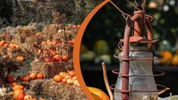 Де біля Волині можна зробити осінні світлини з гарбузами (фото)