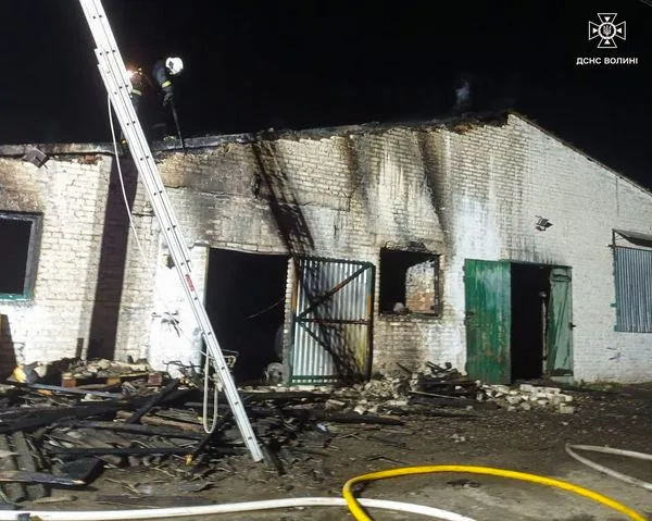 Врятували 700 тварин: у Луцькому районі горів свинарник (фото)