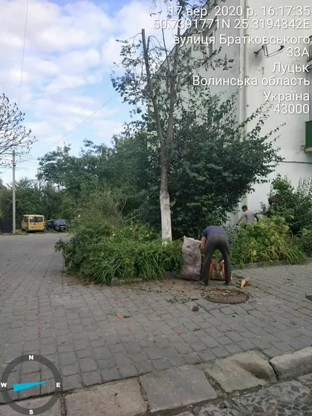 У Луцьку роми потрощили кущі горобини (фото)