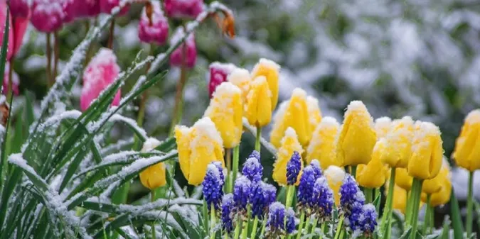 До -3°C: у Луцьку та в області різко похолоднішає