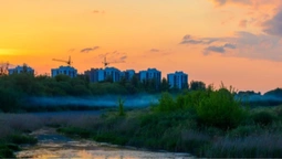Де у Луцьку ночами збираються мавки