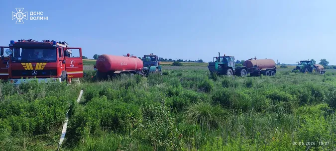 Горіли суха трава, торфовища та лісова підстилка: на Волині за добу ліквідували 9 займань (фото)