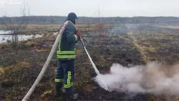 На Камінь-Каширщині рятувальники гасили торф'яник (фото)