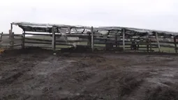 Забороль: на фермі викопали людські рештки
