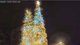 Як сяє святковий Луцьк вночі (фото)