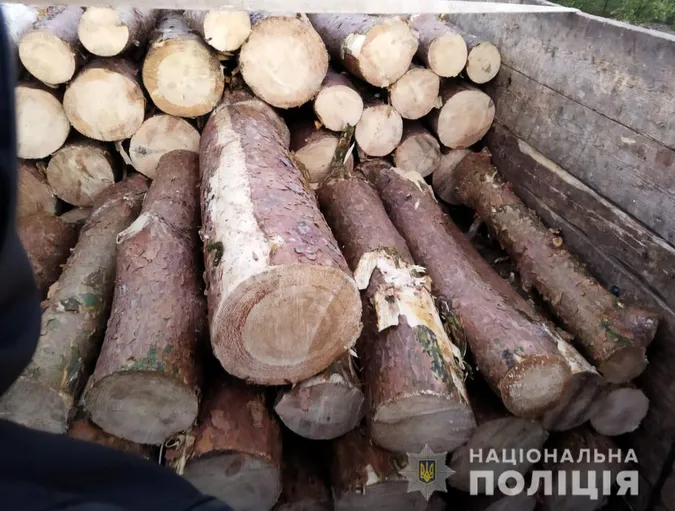 На Волині у водія, який перевозив «ліві» колоди, вилучили вантажівку (фото, відео)