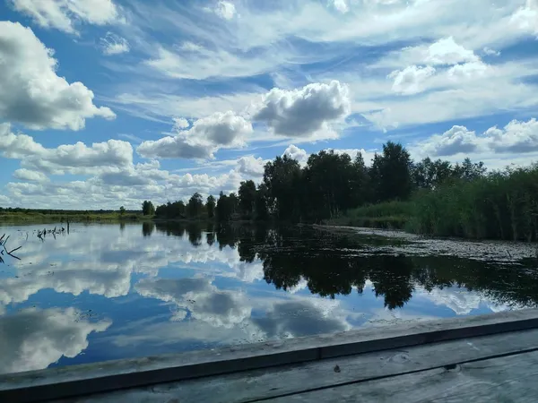 Прихована перлина Цуманської пущі: показали маловідоме урочище «Залив» (фото)